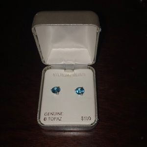 Sterling silver Earrings